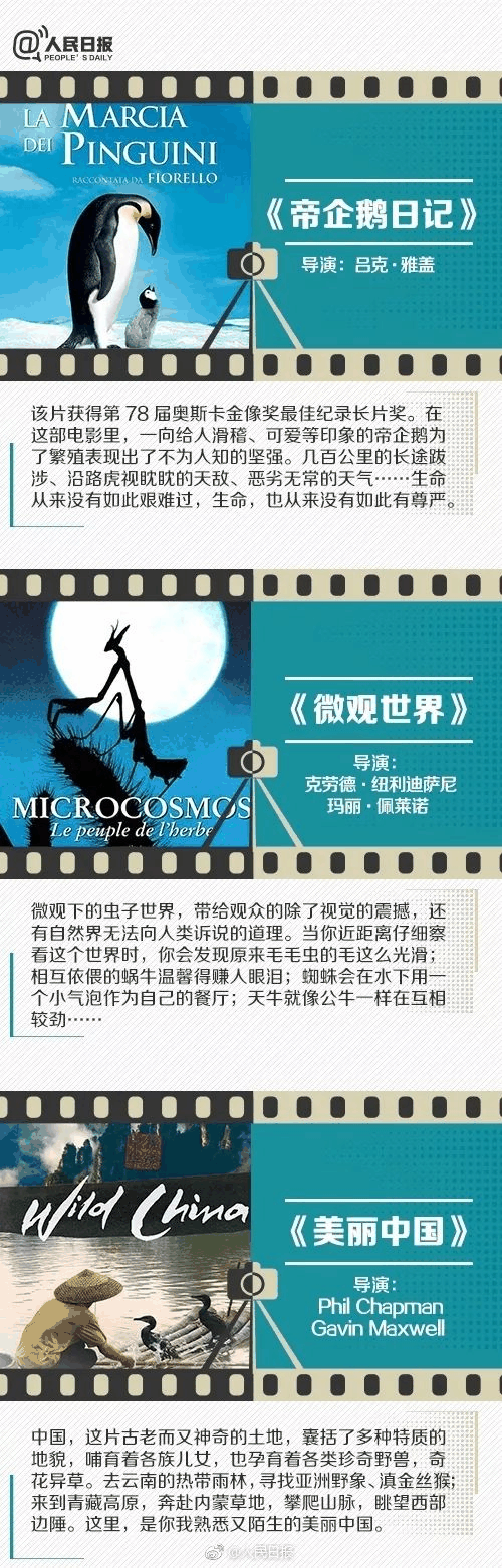 人民日報推薦！小長假陪孩子看這些紀錄片，勝過出門玩五天