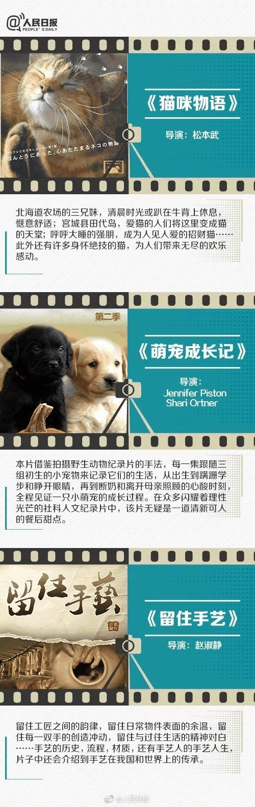 人民日報推薦！小長假陪孩子看這些紀錄片，勝過出門玩五天